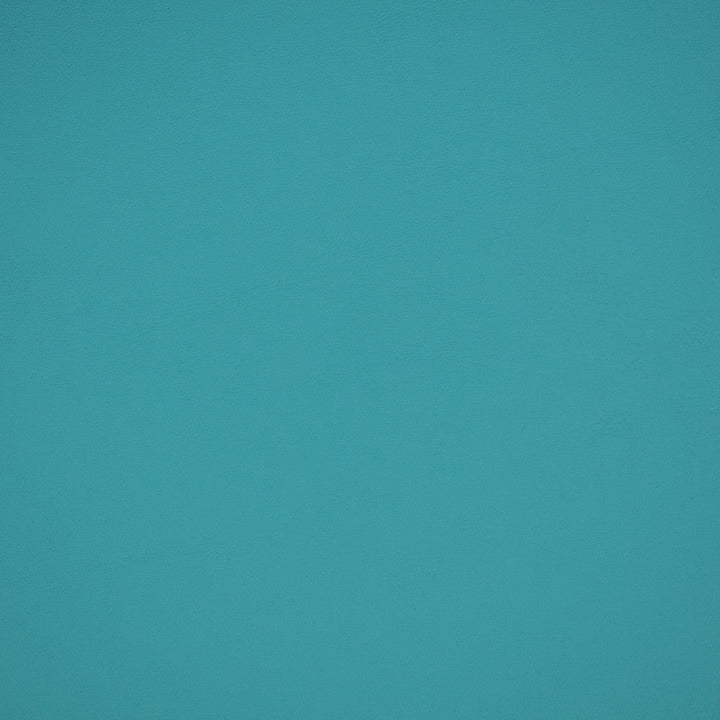 B2369 Reef by Greenhouse Designer Fabric - Face: Vinyl, Back: 100% Polyester, Mellohide 
Weight: 29.25 ± 2 Oz 
Thickness: 45 ± 5 Mils 
Cold Crack: -25°F Canada 100000 None 54" - Swanky Fabrics -