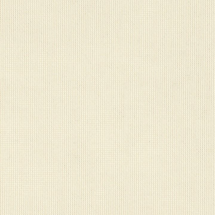 51000 Shadow Snow by Sunbrella Designer Fabric Sunbrella Elements - Shadow 100% Sunbrella® Acrylic USA or Imported 5-Year Horizontal: and Vertical: 60 yd. 54 in. - Swanky Fabrics -