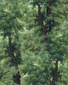 Mind the Gap Wallpaper Mind The Gap   BRANCHY Meadow Green   (WP20785)