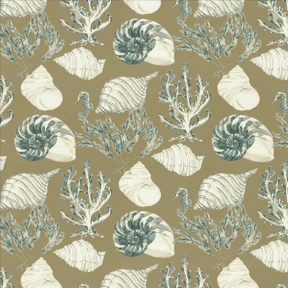 Backshore Dune  by Kasmir Designer Fabric 5154 100% Cotton
 SPAIN 35,000 Wyzenbeek Double Rubs Horizontal: 27 inches and Vertical: 26 4/8 inches 54  - Swanky Fabrics -