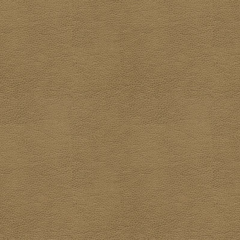 BALARA.106 by Kravet Contract Designer Fabric our website for purchase 100% Leather China Heavy Horizontal: see sample and Vertical: see sample 55 inches - Swanky Fabrics -