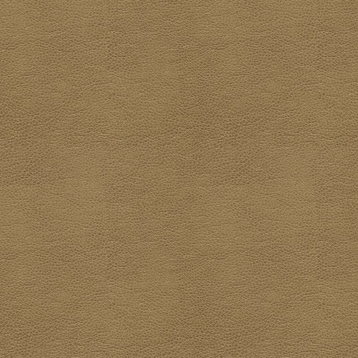 BALARA.106 by Kravet Contract Designer Fabric our website for purchase 100% Leather China Heavy Horizontal: see sample and Vertical: see sample 55 inches - Swanky Fabrics -