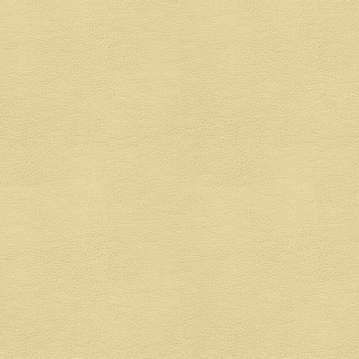BALARA.116 by Kravet Contract Designer Fabric in our sample Polyurethane 100% China Heavy Horizontal: See Sample and Vertical: See Sample 55 inches - Swanky Fabrics -