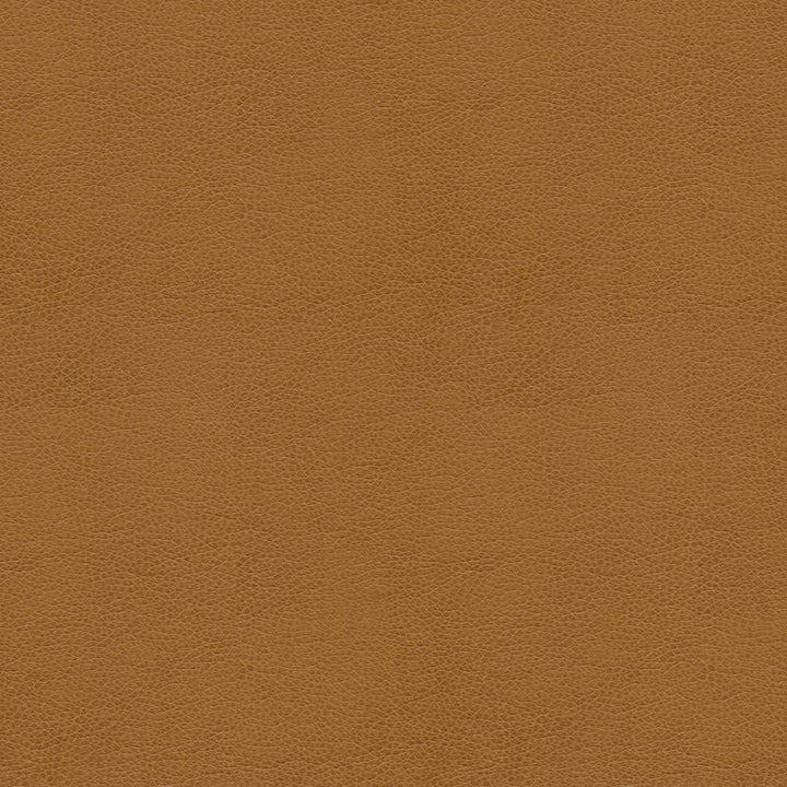 BALARA.16 by Kravet Contract Designer Fabric in our sample Polyurethane 100% China Heavy Horizontal: See Sample and Vertical: See Sample 55 inches - Swanky Fabrics -