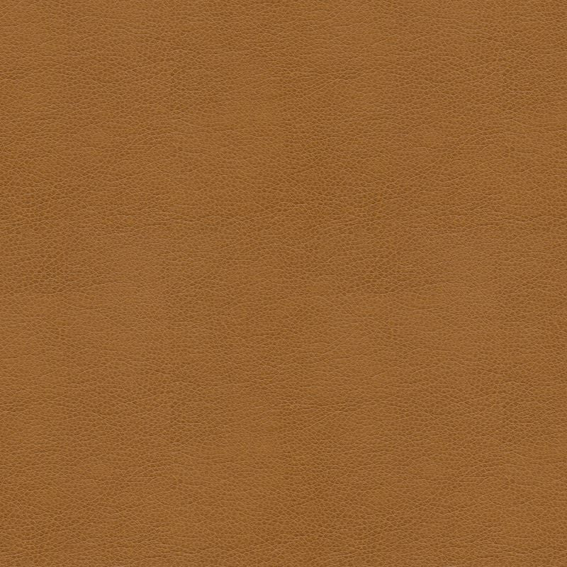 BALARA.16 by Kravet Contract Designer Fabric our website for purchase 100% Leather China Heavy Horizontal: see sample and Vertical: see sample 55 inches - Swanky Fabrics -