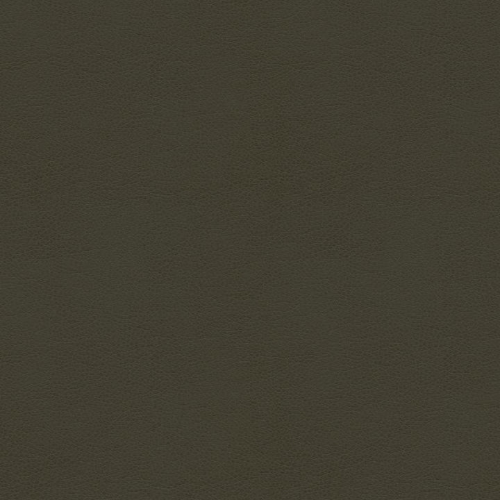 BALARA.21 by Kravet Contract Designer Fabric our website for purchase 100% Leather China Heavy Horizontal: see sample and Vertical: see sample 55 inches - Swanky Fabrics -