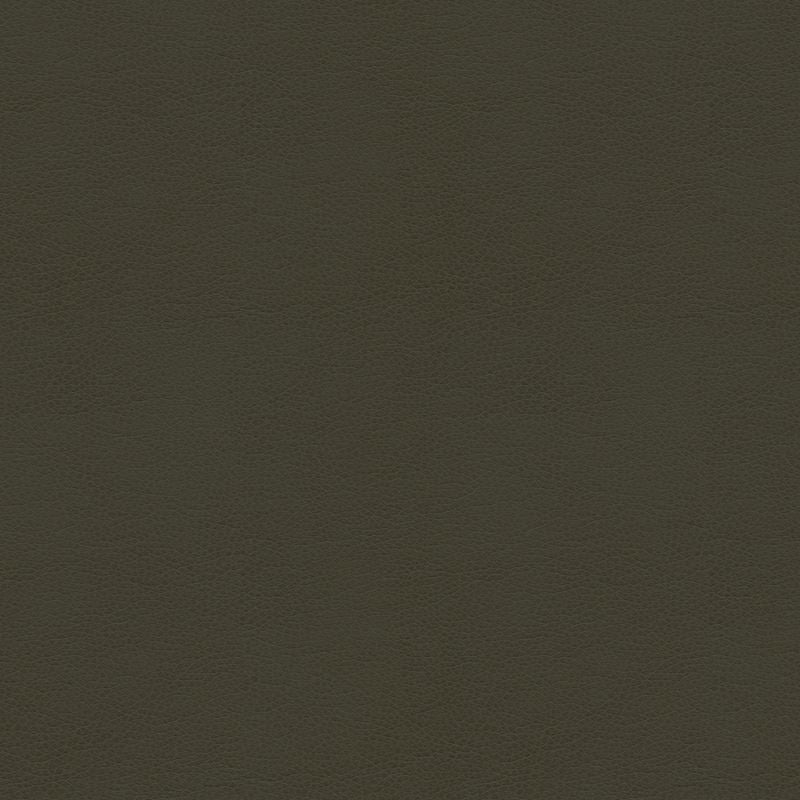 BALARA.21 by Kravet Contract Designer Fabric our website for purchase 100% Leather China Heavy Horizontal: see sample and Vertical: see sample 55 inches - Swanky Fabrics -