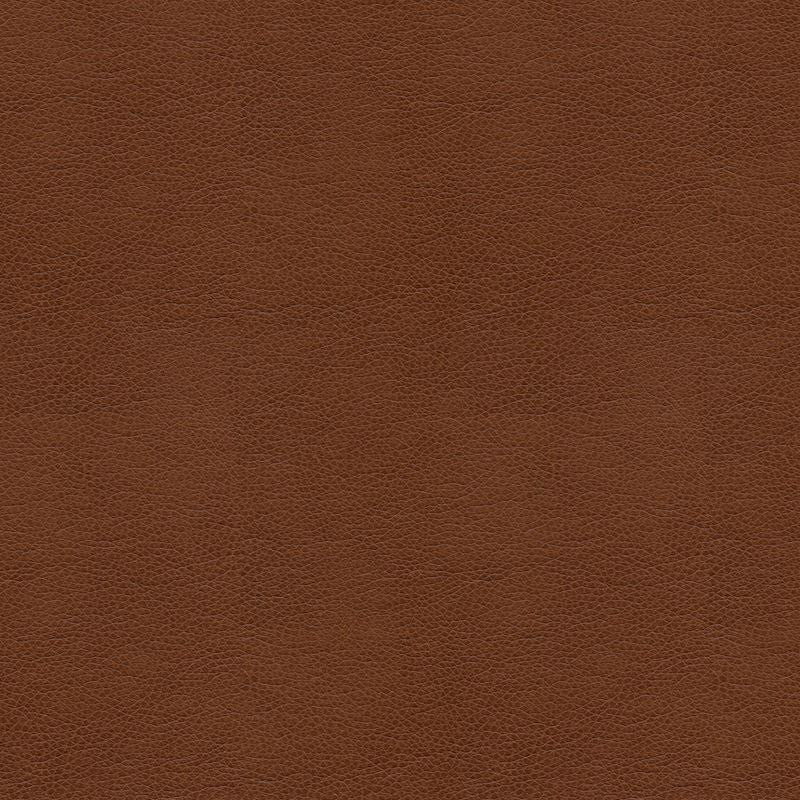 BALARA.6 by Kravet Contract Designer Fabric our website for purchase 100% Leather China Heavy Horizontal: see sample and Vertical: see sample 55 inches - Swanky Fabrics -