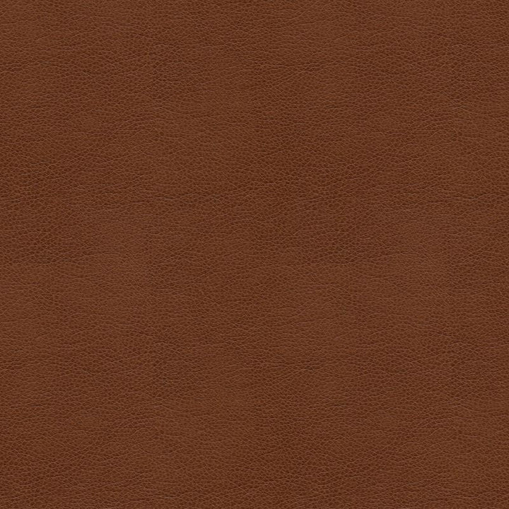 BALARA.6 by Kravet Contract Designer Fabric our website for purchase 100% Leather China Heavy Horizontal: see sample and Vertical: see sample 55 inches - Swanky Fabrics -
