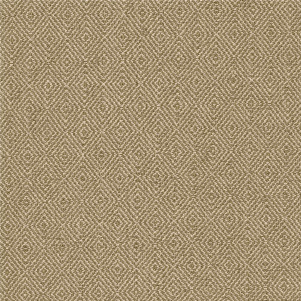 Balducci Coffee  by Kasmir Designer Fabric 5093 100% Cotton
 INDIA 12,000 Wyzenbeek Double Rubs Horizontal: 1 2/8 inches and Vertical: 1 4/8 inches 54  - Swanky Fabrics -