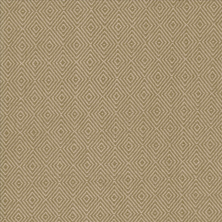 Balducci Coffee  by Kasmir Designer Fabric 5093 100% Cotton
 INDIA 12,000 Wyzenbeek Double Rubs Horizontal: 1 2/8 inches and Vertical: 1 4/8 inches 54  - Swanky Fabrics -