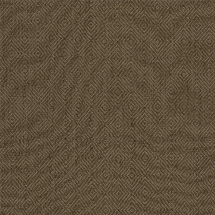 Balducci Ranger  by Kasmir Designer Fabric 5101 100% Cotton
 INDIA 12,000 Wyzenbeek Double Rubs Horizontal: 1 2/8 inches and Vertical: 1 4/8 inches 54  - Swanky Fabrics -