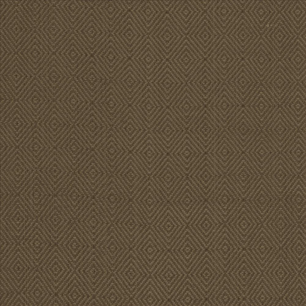 Balducci Ranger by Kasmir Designer Fabric 5101 100% Cotton INDIA 12,000 Wyzenbeek Double Rubs Horizontal: 1 2/8 inches and Vertical: 1 4/8 inches 54 - 55 - Swanky Fabrics -