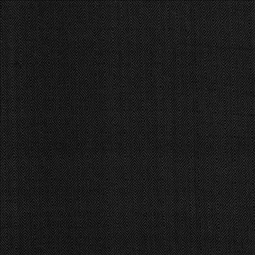 Balducci Raven by Kasmir Designer Fabric 5101 100% Cotton INDIA 12,000 Wyzenbeek Double Rubs H: 1 2/8 inches, V: 1 4/8 inches 54 - 55 - Swanky Fabrics - Kasmir