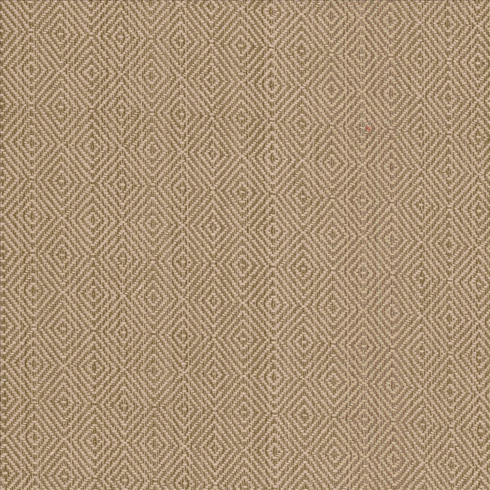 Balducci Teastain by Kasmir Designer Fabric See sample 100% Cotton
 INDIA 12,000 Wyzenbeek Double Rubs </p><p>Repeat: Horizontal: 1 2/8 inches and Vertical: 1 4/8 inches 54 - Swanky Fabrics -