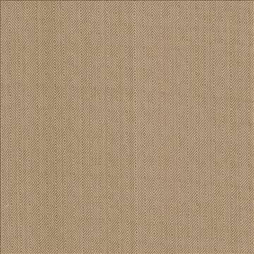 Balducci Teastain by Kasmir Designer Fabric 5092 100% Cotton INDIA 12,000 Wyzenbeek Double Rubs H: 1 2/8 inches, V: 1 4/8 inches 54 - 55 - Swanky Fabrics - Kasmir