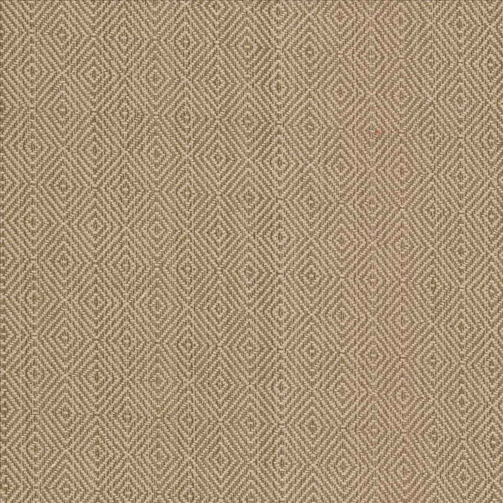 Balducci Teastain by Kasmir Designer Fabric 5092 100% Cotton
 INDIA </p><p>Repeat: Horizontal: 1 2/8 inches and Vertical: 1 4/8 inches 54 - 55 - Swanky Fabrics -