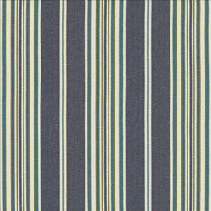 Kasmir Fabric Bandwidth Denim