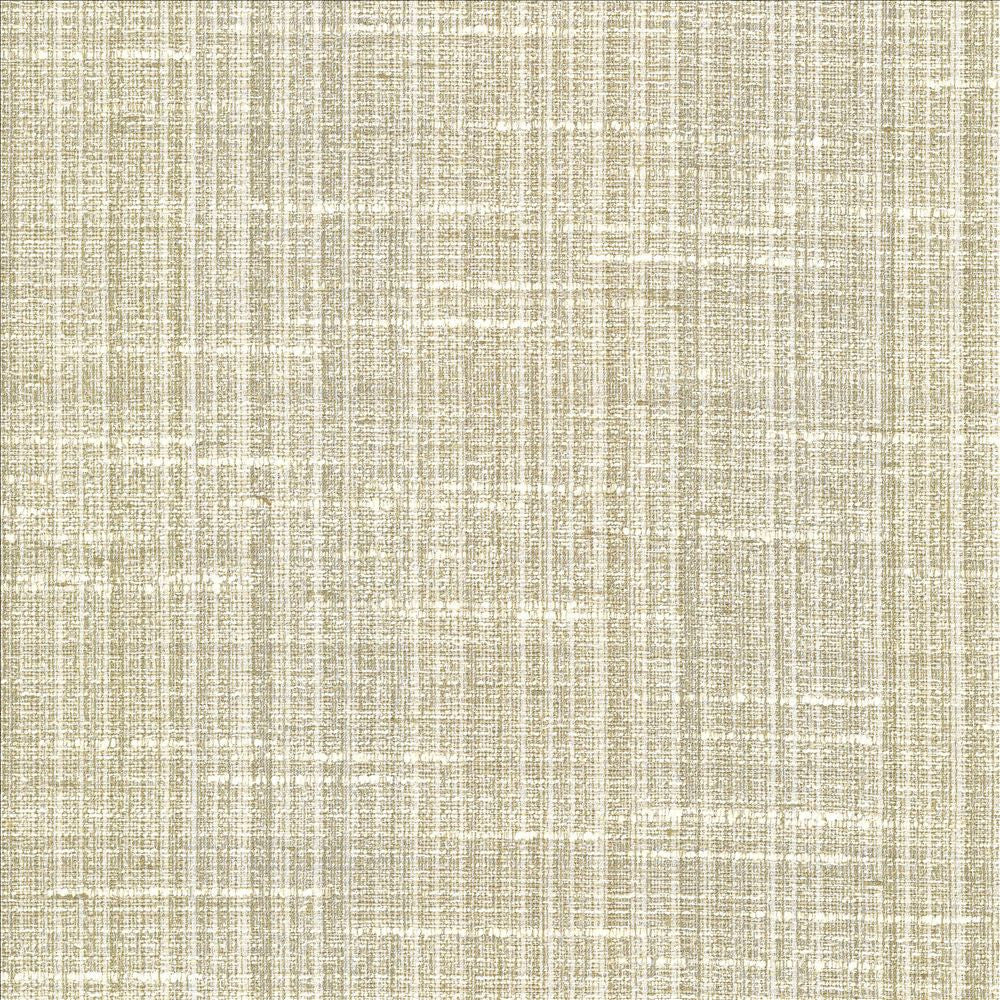 Bansuri Dew by Kasmir Designer Fabric 5066 80% Polyester
20% Cotton
 INDIA 80,000 Wyzenbeek Double Rubs </p><p>Repeat: Horizontal: N/A and Vertical: N/A 55 - Swanky Fabrics -