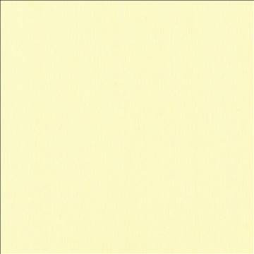 Barrett Ecru by Kasmir Designer Fabric 5076 100% Polyester CHINA - H: N/A, V: N/A 117 - 118 - Swanky Fabrics - Kasmir