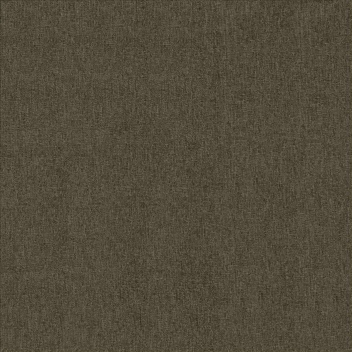 Bashful Earth by Kasmir Designer Fabric 5171 100% Polyester
 CHINA 50,000 Wyzenbeek Double Rubs </p><p>Repeat: Horizontal: N/A and Vertical: N/A 54 - Swanky Fabrics -