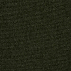 Sunbrella Fabric 48141 Cast Ivy