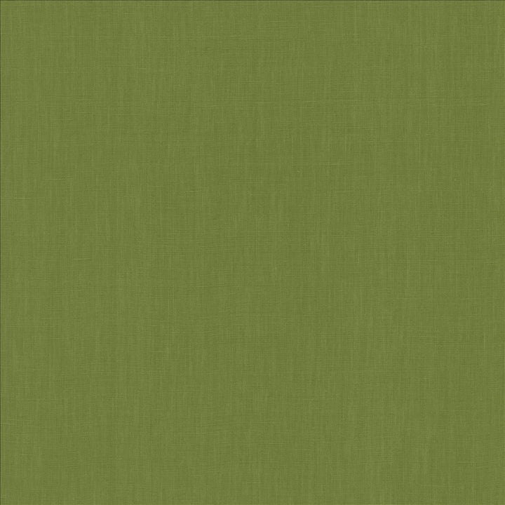 Belgique Basil by Kasmir Designer Fabric 5176 100% Linen
 CHINA 12,000 Martindale Cycles </p><p>Repeat: Horizontal: N/A and Vertical: N/A 55 - Swanky Fabrics -