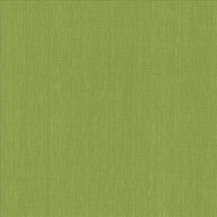 Belgique Basil by Kasmir Designer Fabric 5176 100% Linen
 CHINA </p><p>Repeat: Horizontal: N/A and Vertical: N/A 55 - 57 - Swanky Fabrics -