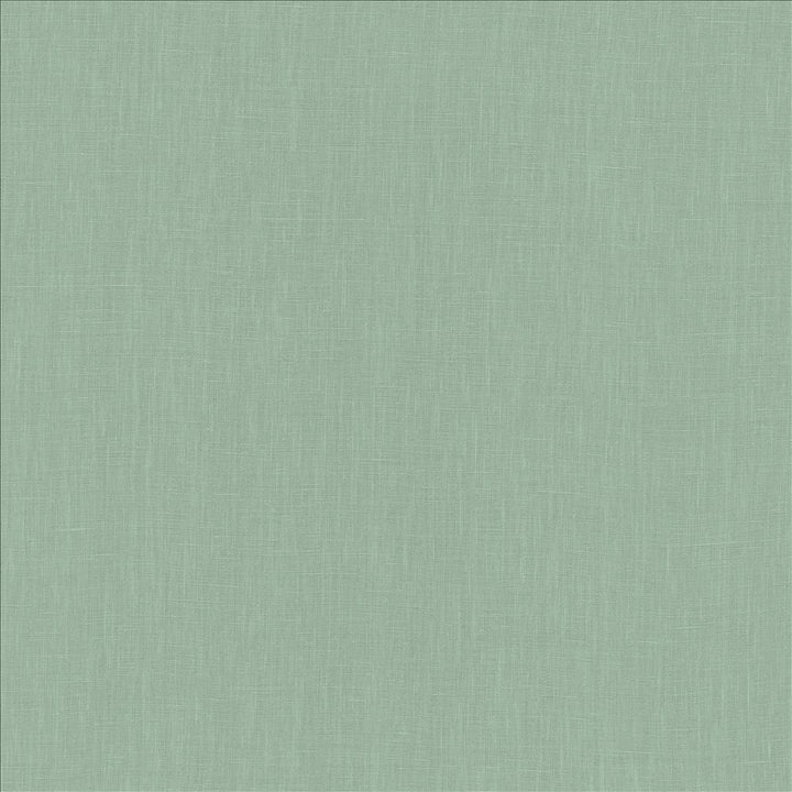 Belgique Seafoam by Kasmir Designer Fabric 5103 100% Linen
 CHINA 12,000 Martindale Cycles </p><p>Repeat: Horizontal: N/A and Vertical: N/A 55 - Swanky Fabrics -