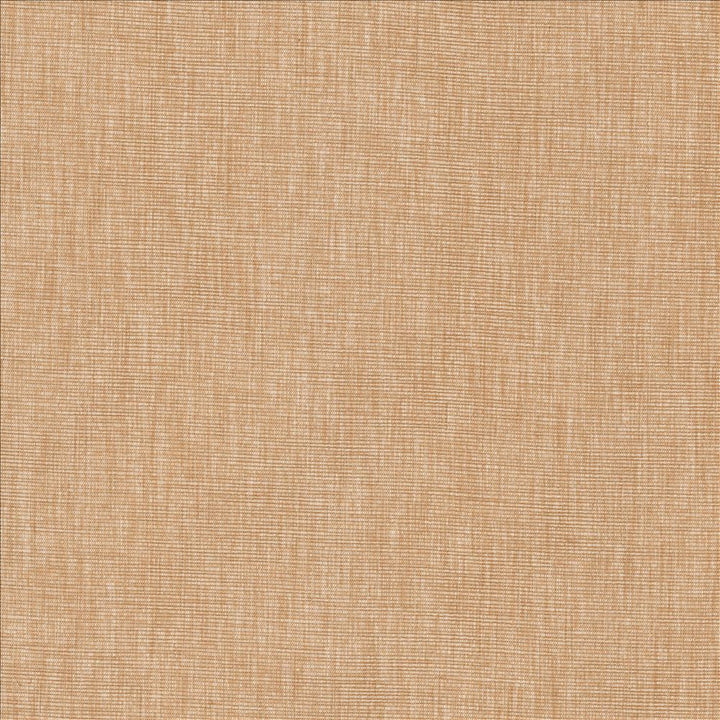 Beltran Ash Rose by Kasmir Designer Fabric 5163 100% Polyester
 INDIA </p><p>Repeat: Horizontal: N/A and Vertical: N/A 54 - Swanky Fabrics -