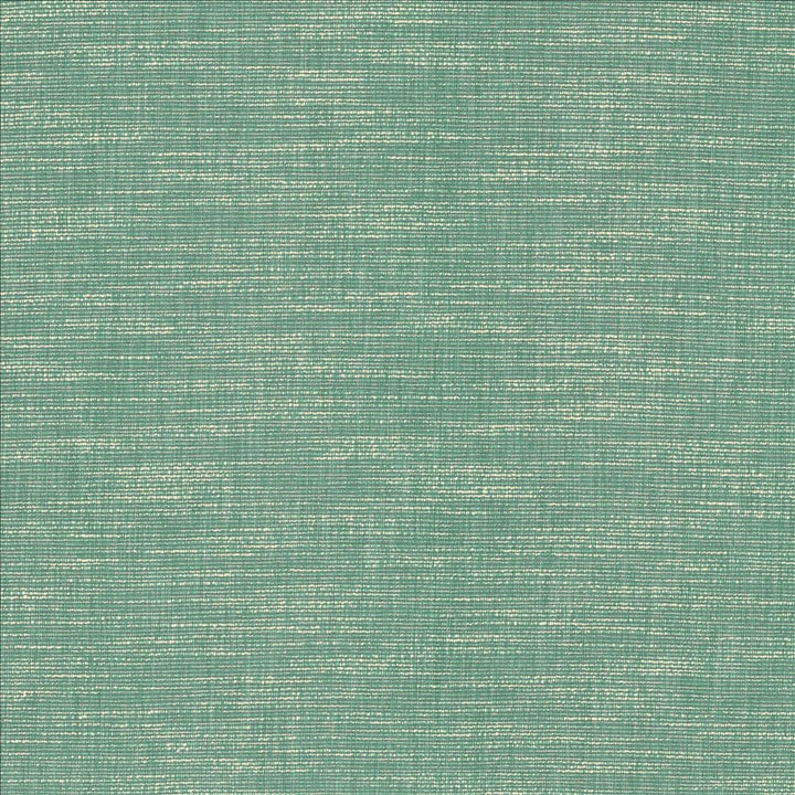 Beltran Bahamas by Kasmir Designer Fabric 5163 100% Polyester
 INDIA 20,000 Wyzenbeek Double Rubs </p><p>Repeat: Horizontal: N/A and Vertical: N/A 54 - Swanky Fabrics -