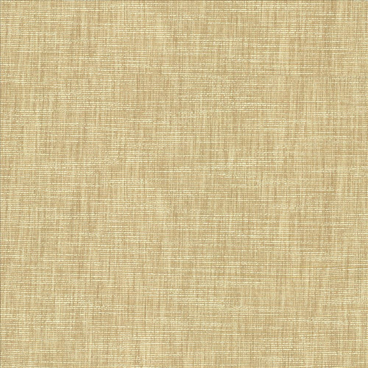 Beltran Bisque by Kasmir Designer Fabric 5163 100% Polyester
 INDIA 20,000 Wyzenbeek Double Rubs </p><p>Repeat: Horizontal: N/A and Vertical: N/A 54 - Swanky Fabrics -