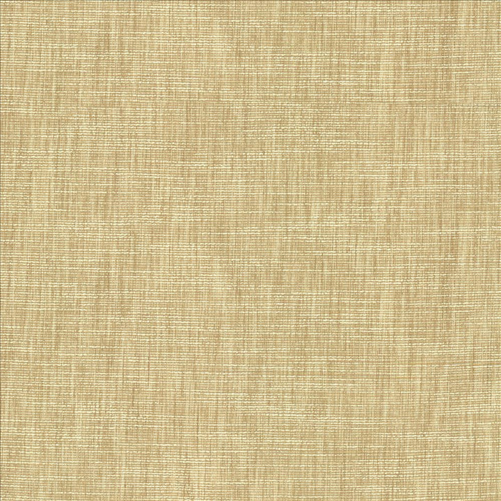 Beltran Bisque by Kasmir Designer Fabric 5163 100% Polyester
 INDIA </p><p>Repeat: Horizontal: N/A and Vertical: N/A 54 - Swanky Fabrics -