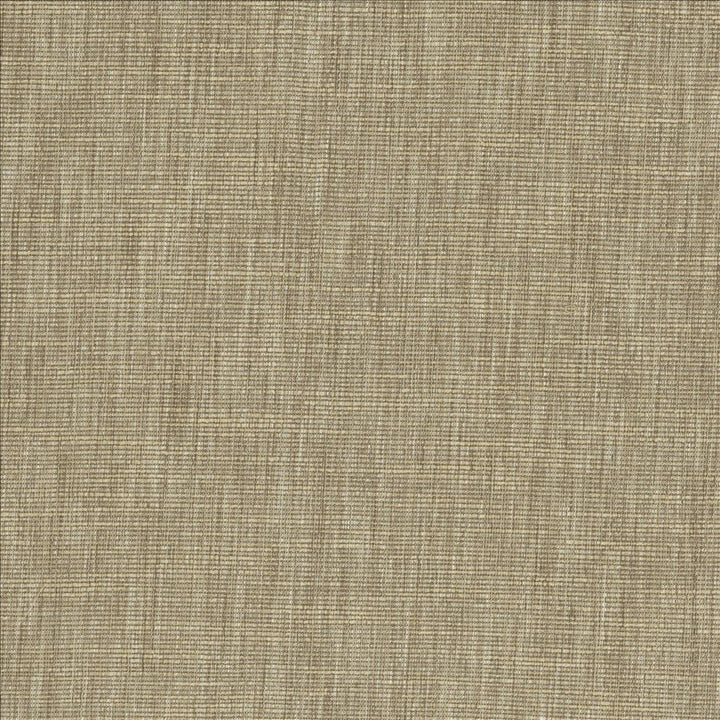Beltran Dove Tail by Kasmir Designer Fabric 5163 100% Polyester
 INDIA 20,000 Wyzenbeek Double Rubs </p><p>Repeat: Horizontal: N/A and Vertical: N/A 54 - Swanky Fabrics -