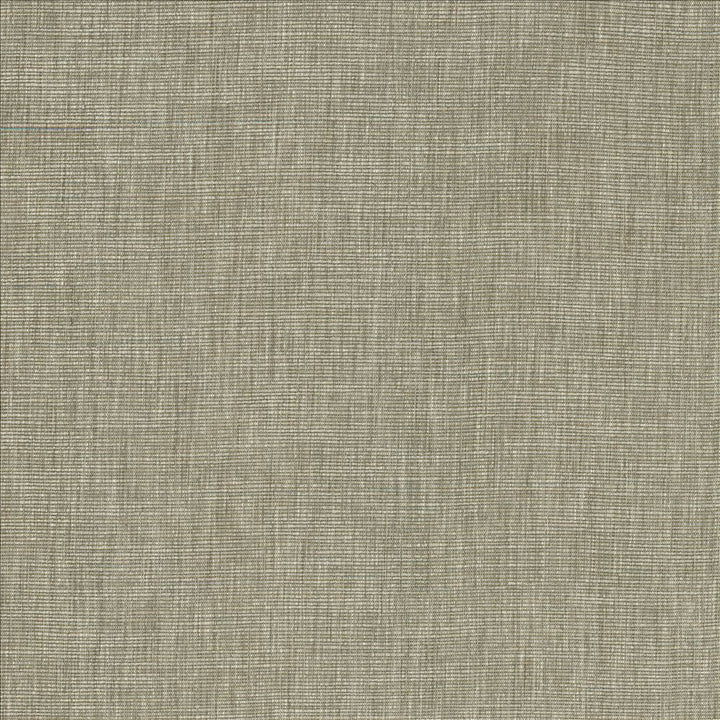 Beltran Elephant by Kasmir Designer Fabric 5163 100% Polyester
 INDIA 20,000 Wyzenbeek Double Rubs </p><p>Repeat: Horizontal: N/A and Vertical: N/A 54 - Swanky Fabrics -