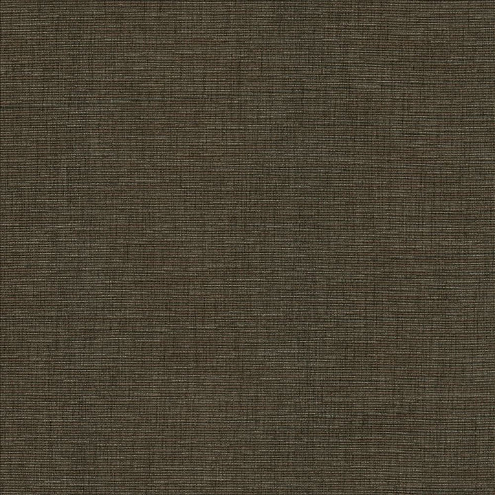 Beltran Falcon  by Kasmir Designer Fabric 5163 100% Polyester
 INDIA 20,000 Wyzenbeek Double Rubs Horizontal: N/A and Vertical: N/A 54  - Swanky Fabrics -