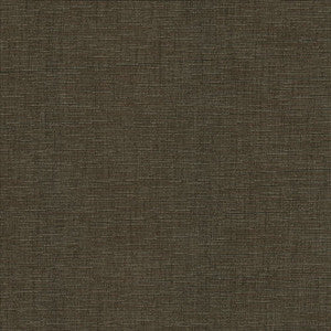 Kasmir Fabric Beltran Falcon