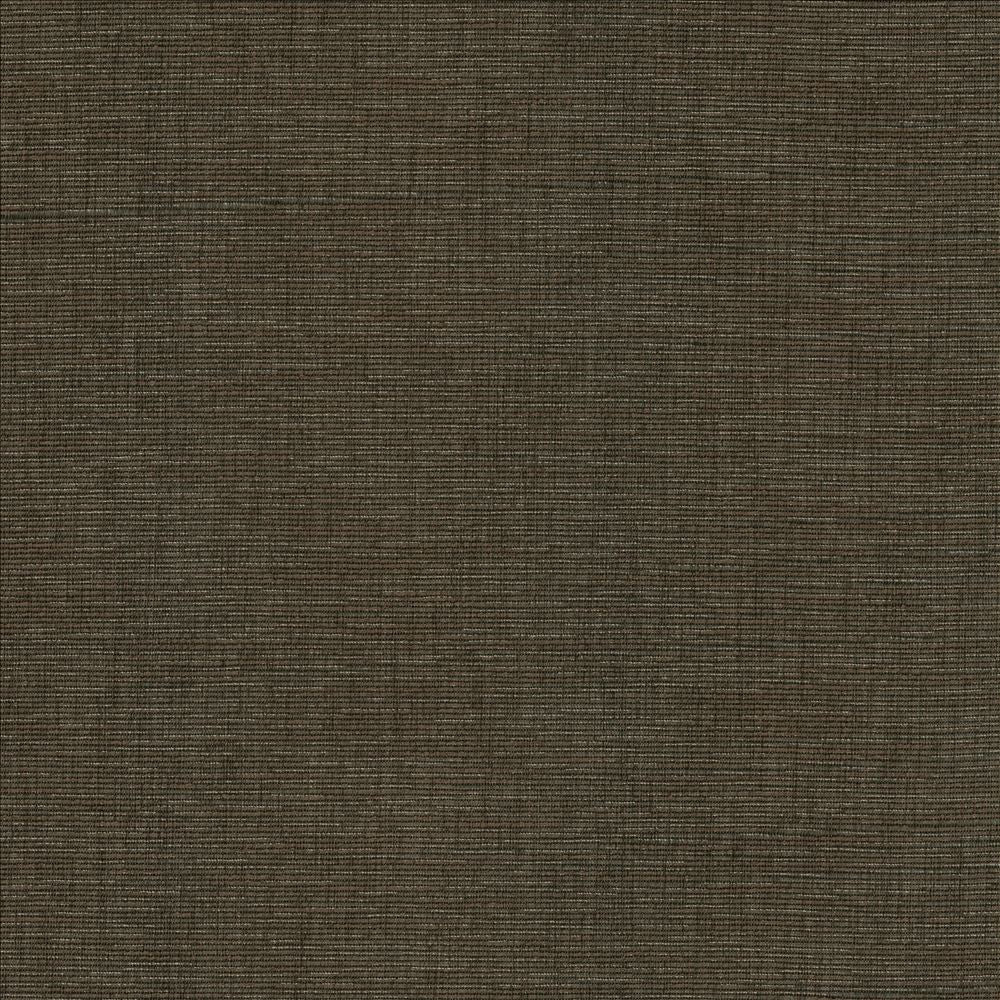 Beltran Falcon by Kasmir Designer Fabric 5163 100% Polyester
 INDIA </p><p>Repeat: Horizontal: N/A and Vertical: N/A 54 - Swanky Fabrics -