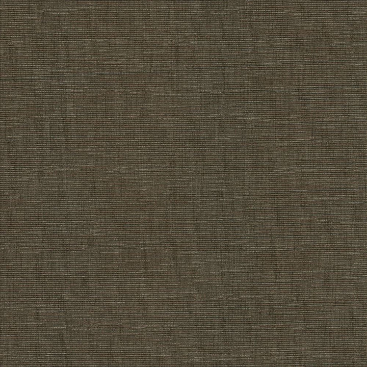 Beltran Falcon by Kasmir Designer Fabric 5163 100% Polyester
 INDIA 20,000 Wyzenbeek Double Rubs </p><p>Repeat: Horizontal: N/A and Vertical: N/A 54 - Swanky Fabrics -