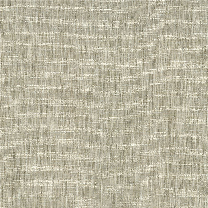 Beltran French Gray by Kasmir Designer Fabric 5163 100% Polyester
 INDIA 20,000 Wyzenbeek Double Rubs </p><p>Repeat: Horizontal: N/A and Vertical: N/A 54 - Swanky Fabrics -