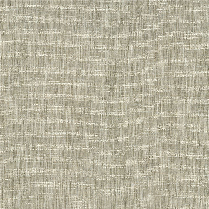 Beltran French Gray by Kasmir Designer Fabric 5163 100% Polyester
 INDIA </p><p>Repeat: Horizontal: N/A and Vertical: N/A 54 - Swanky Fabrics -