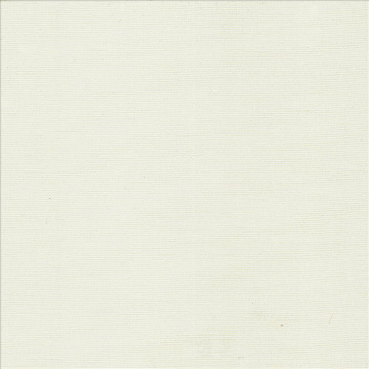 Beltran Frost  by Kasmir Designer Fabric 5163 100% Polyester
 INDIA 20,000 Wyzenbeek Double Rubs Horizontal: N/A and Vertical: N/A 54  - Swanky Fabrics -