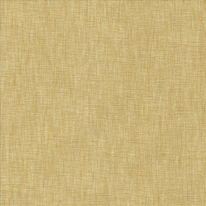 Beltran Hay by Kasmir Designer Fabric 5163 100% Polyester
 INDIA 20,000 Wyzenbeek Double Rubs </p><p>Repeat: Horizontal: N/A and Vertical: N/A 54 - Swanky Fabrics -