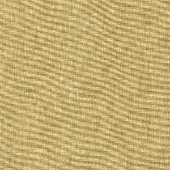Beltran Hay by Kasmir Designer Fabric See sample 100% Polyester
 INDIA 20,000 Wyzenbeek Double Rubs </p><p>Repeat: Horizontal: N/A and Vertical: N/A 54 - Swanky Fabrics -