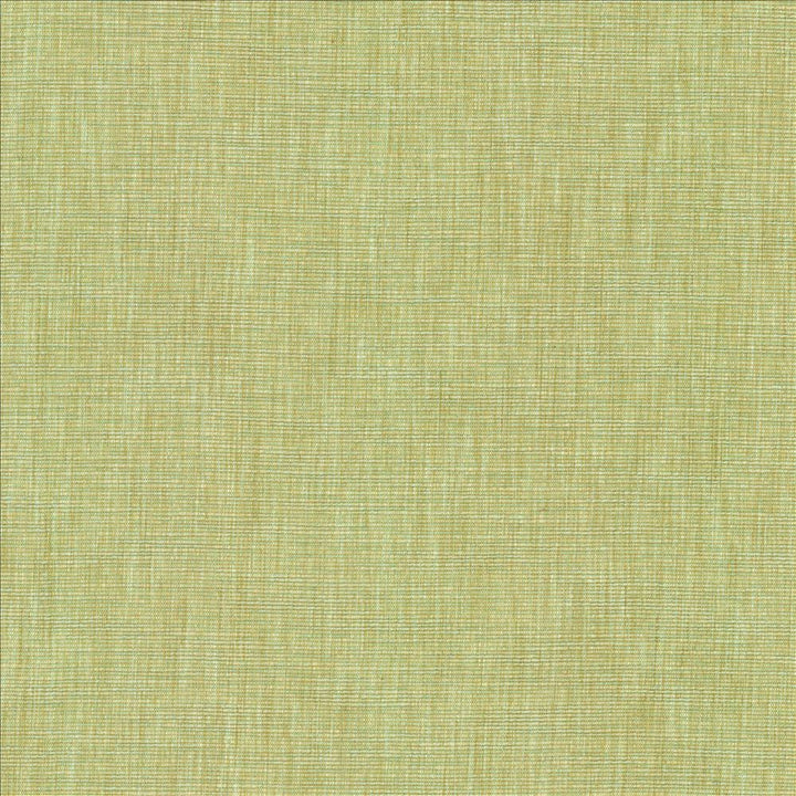 Beltran New Bud  by Kasmir Designer Fabric 5163 100% Polyester
 INDIA 20,000 Wyzenbeek Double Rubs Horizontal: N/A and Vertical: N/A 54  - Swanky Fabrics -