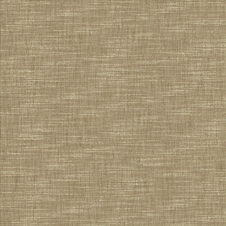 Beltran Skimming Stone by Kasmir Designer Fabric 5163 100% Polyester
 INDIA 20,000 Wyzenbeek Double Rubs </p><p>Repeat: Horizontal: N/A and Vertical: N/A 54 - Swanky Fabrics -