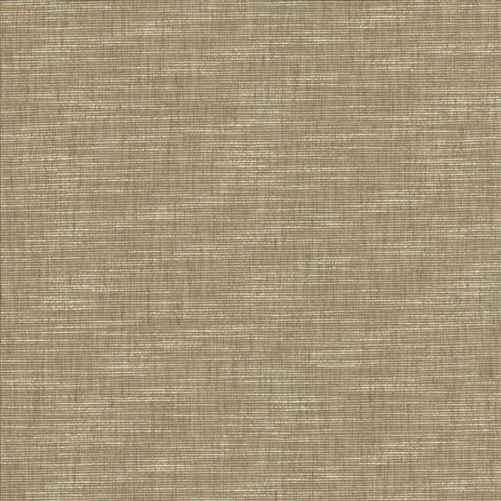 Beltran Skimming Stone  by Kasmir Designer Fabric 5163 100% Polyester
 INDIA 20,000 Wyzenbeek Double Rubs Horizontal: N/A and Vertical: N/A 54  - Swanky Fabrics -