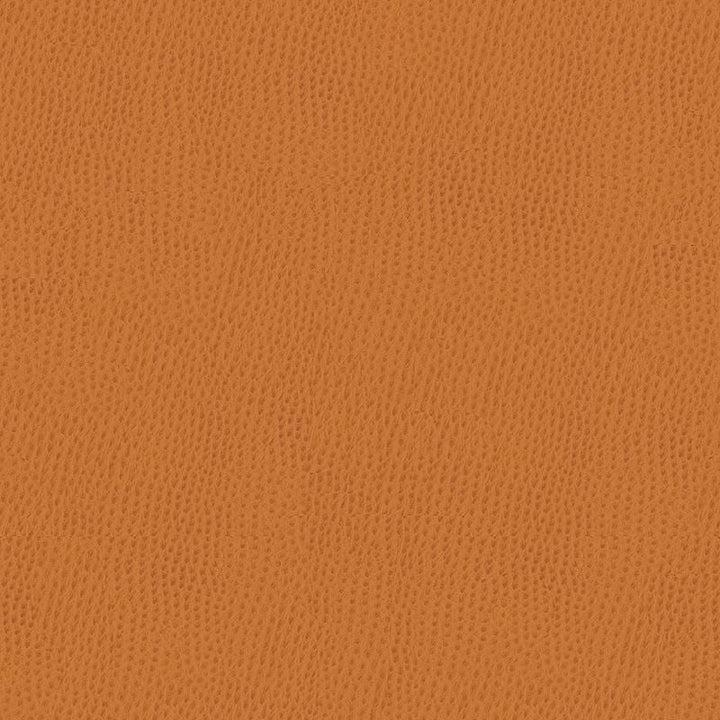BELUS.212 by Kravet Contract Designer Fabric in our sample Poly Vinyl Chloride 100% Taiwan Heavy Horizontal: See Sample and Vertical: See Sample 54 inches - Swanky Fabrics -