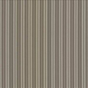 Kasmir Fabric Benito Stripe Silver