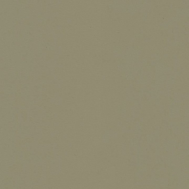 BERTA.11 by Kravet Contract Designer Fabric our website for purchase 100% Leather Taiwan Heavy Horizontal: see sample and Vertical: see sample 54 inches - Swanky Fabrics -